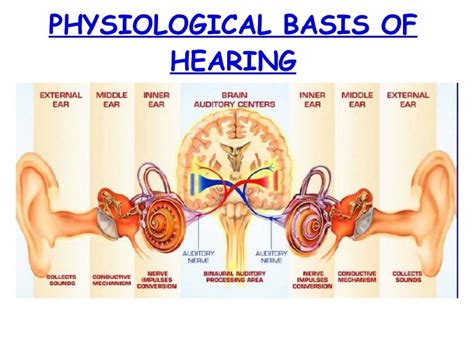 PHYSIOLOGY OF HEARING AND RELEVANT 